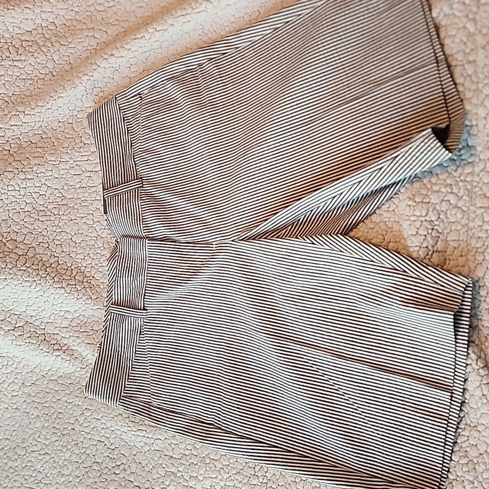 Ann Taylor Signature Shorts